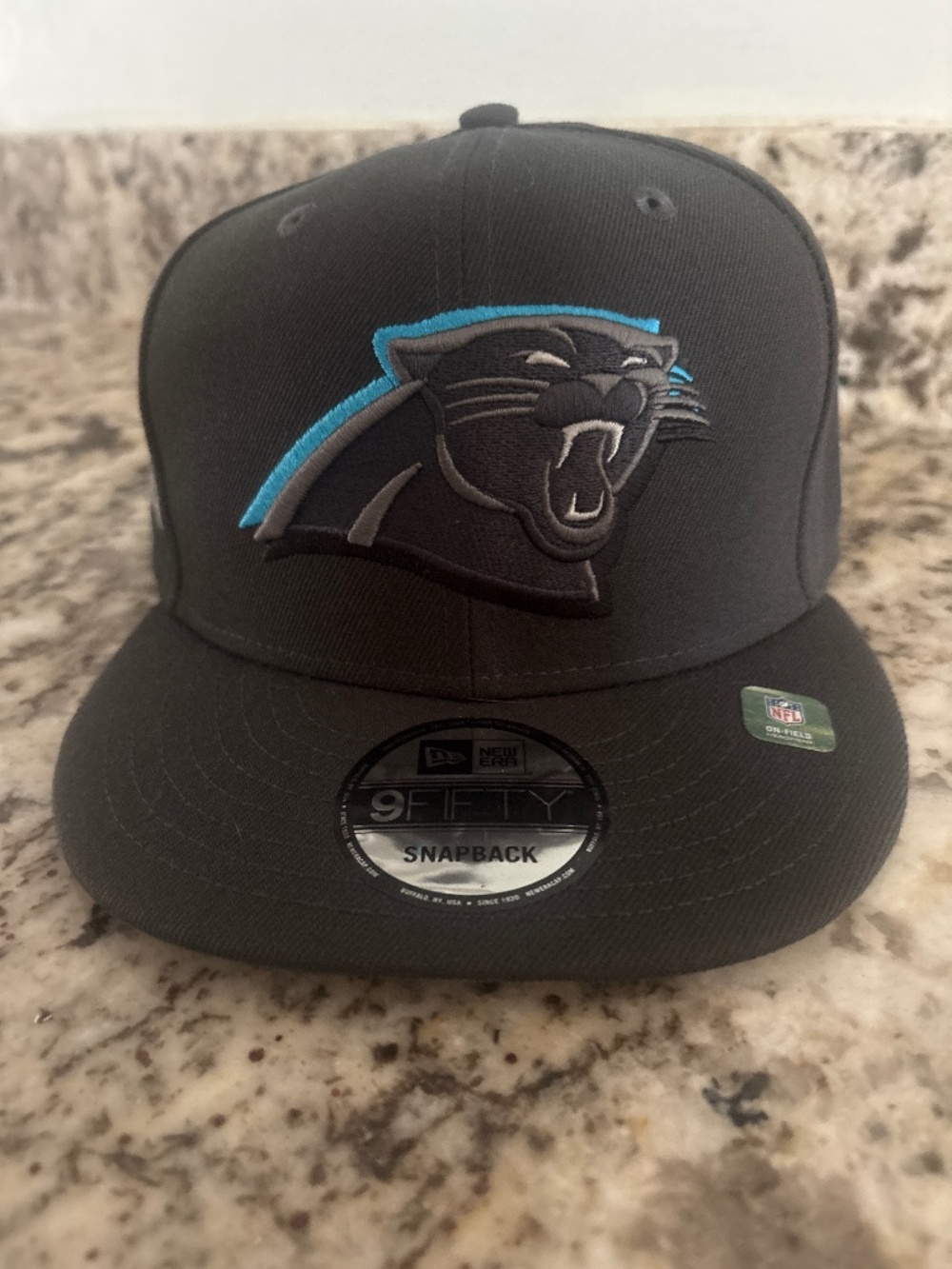 Panthers baseball hat